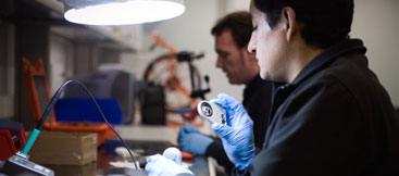 descripcion de la imagen